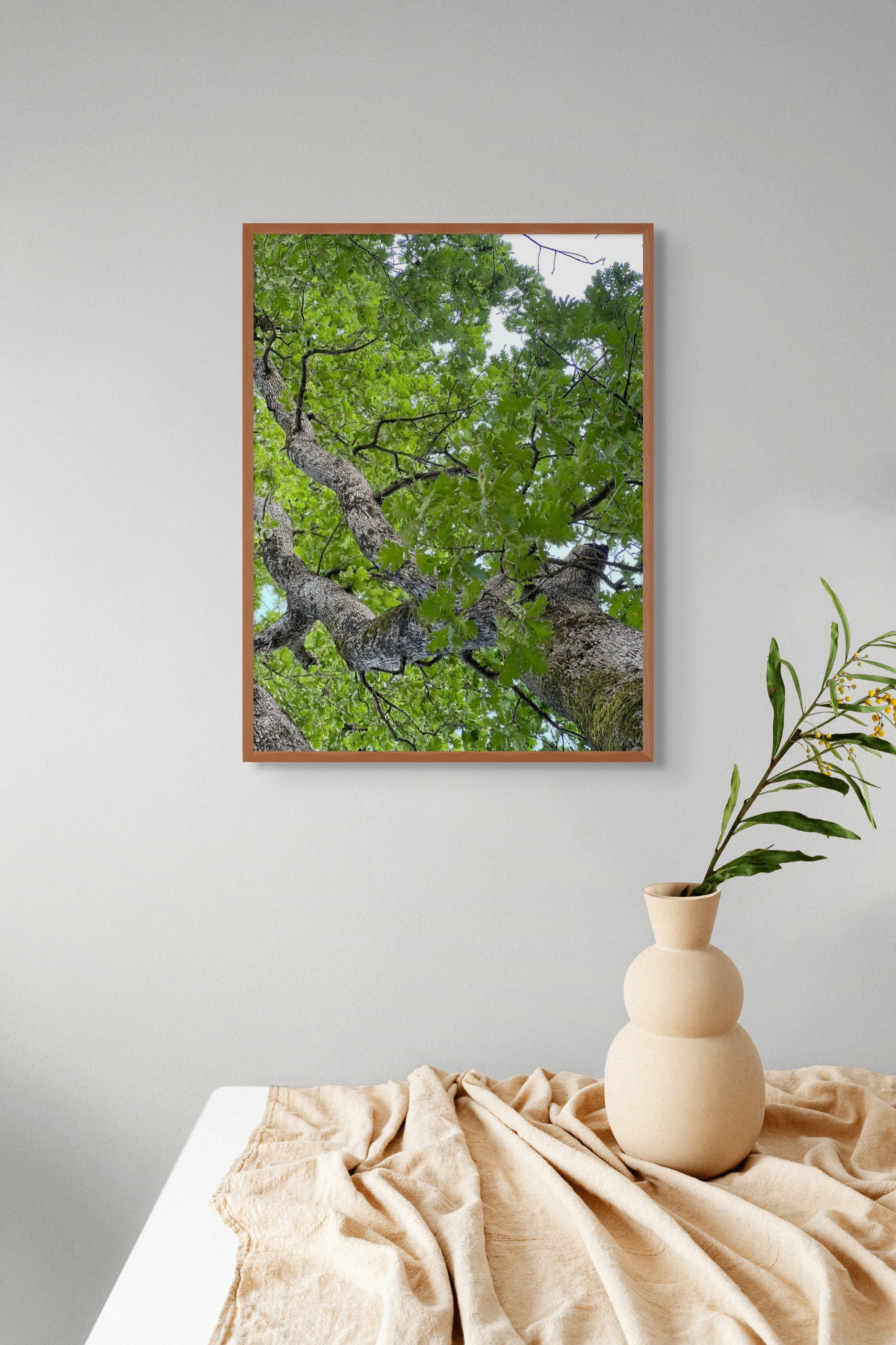 The Ancient Guardian