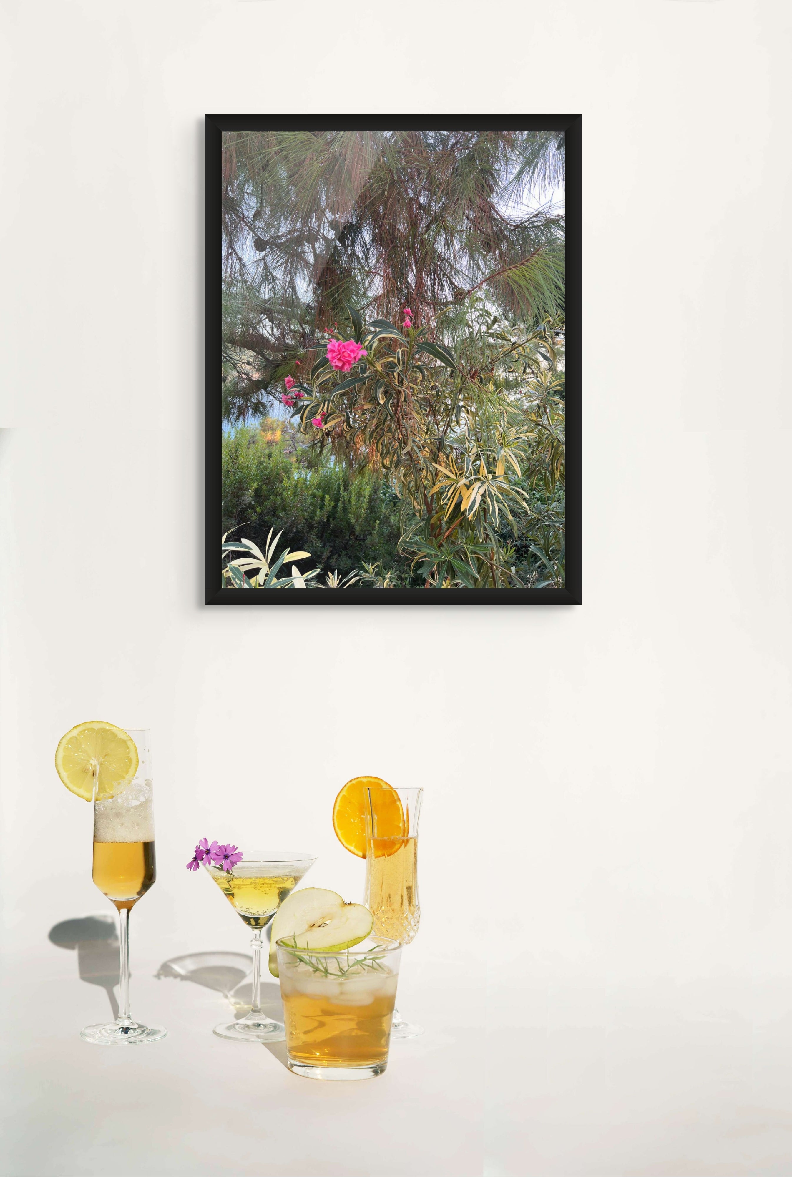 Sentinel of Faralya | Pine & Oleander