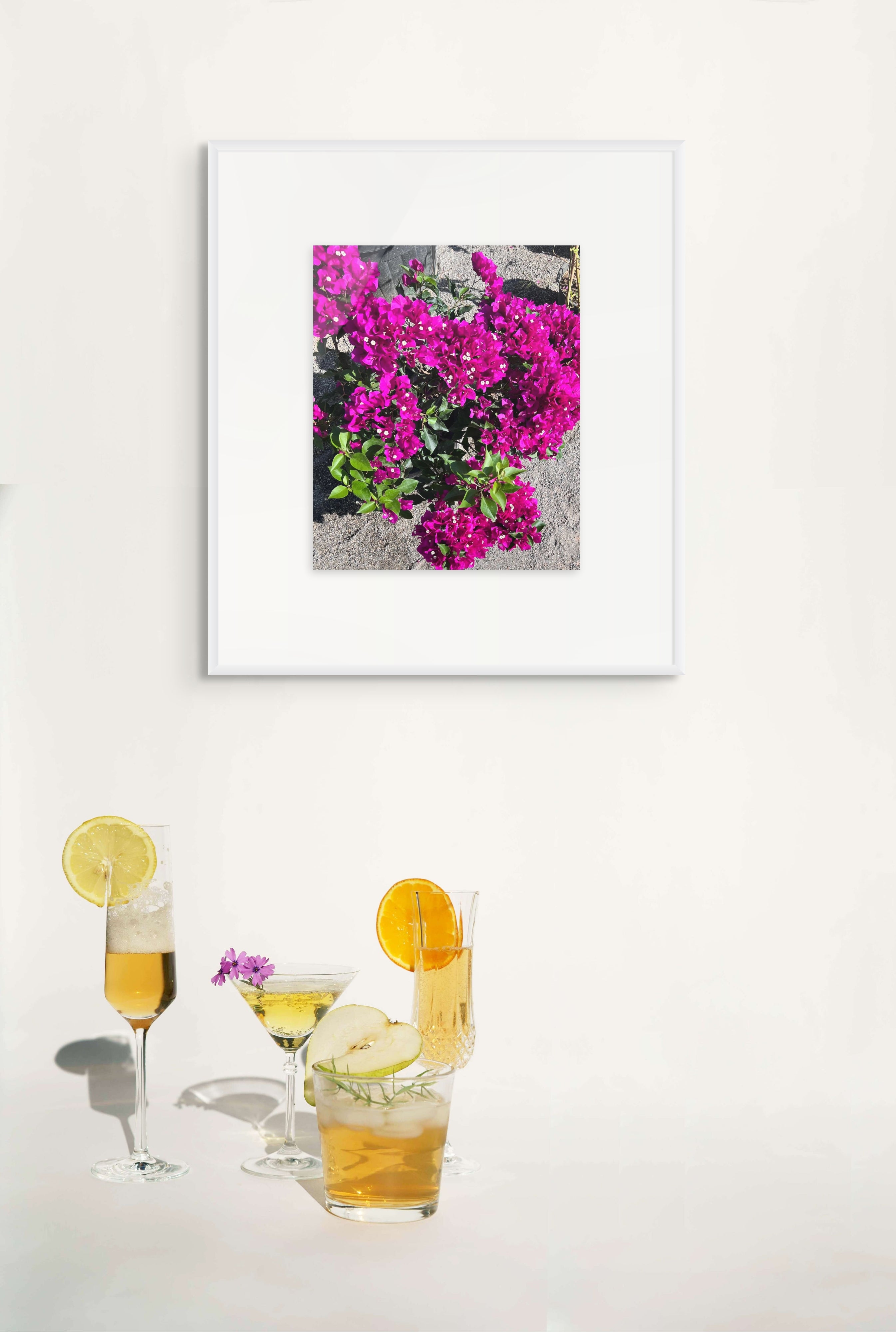 Bougainvillea Echoes