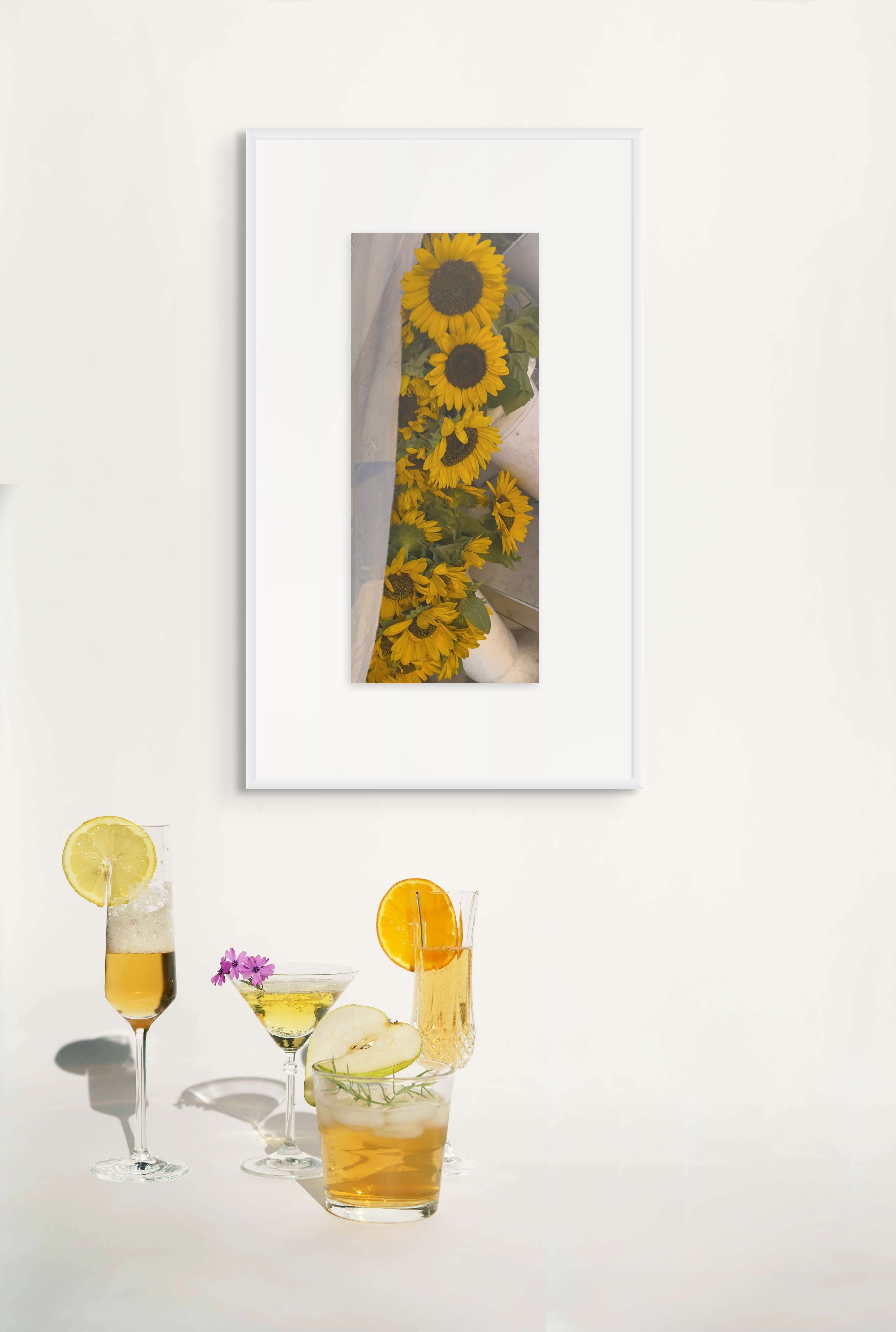 Helianthus Echoes | Sunflowers