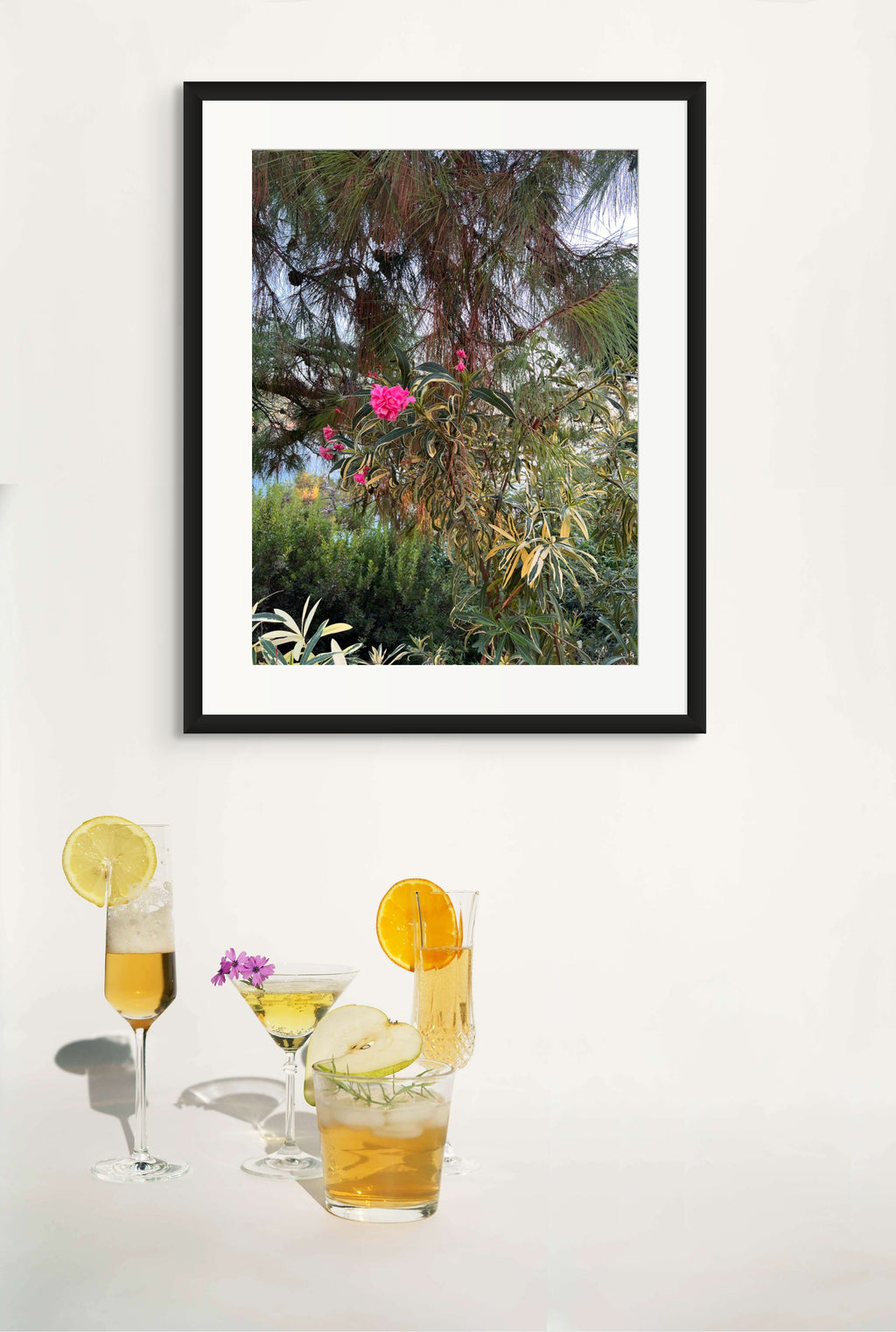 Sentinel of Faralya | Pine & Oleander